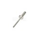 RIVET